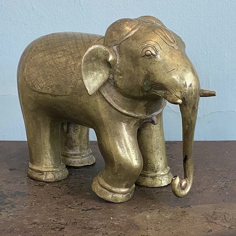 Indisk elefant Af bronze